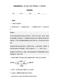 2022-2023学年河南省南阳市一中高二12月月考生物试题含解析