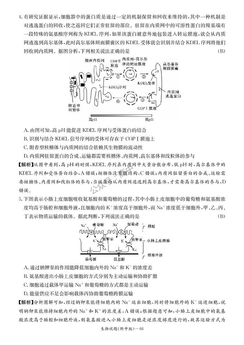 2023湖南师大附中高三上学期月考卷（二）生物PDF版无答案02