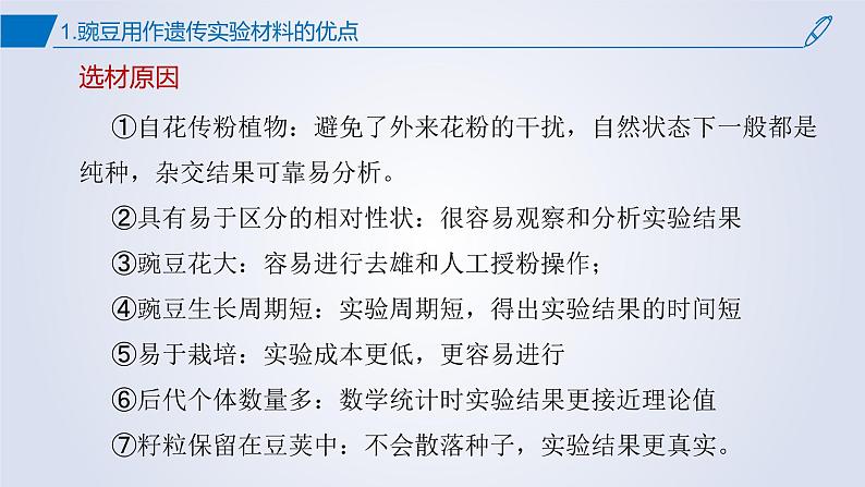 2023届高三二轮复习生物：第一章综合复习 遗传因子的发现课件第2页