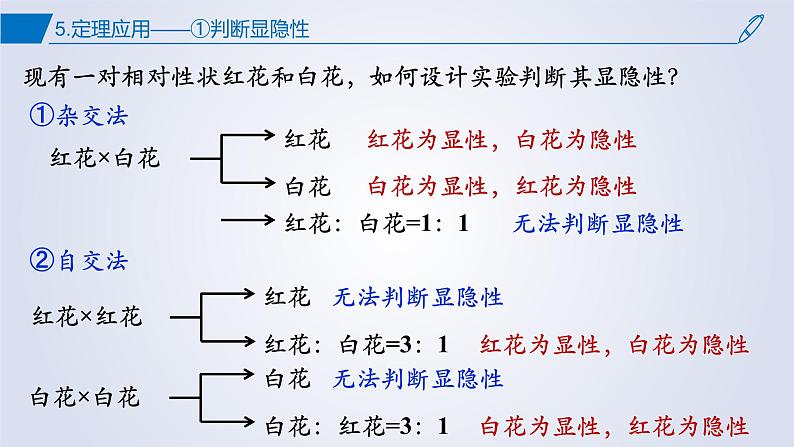 2023届高三二轮复习生物：第一章综合复习 遗传因子的发现课件第7页