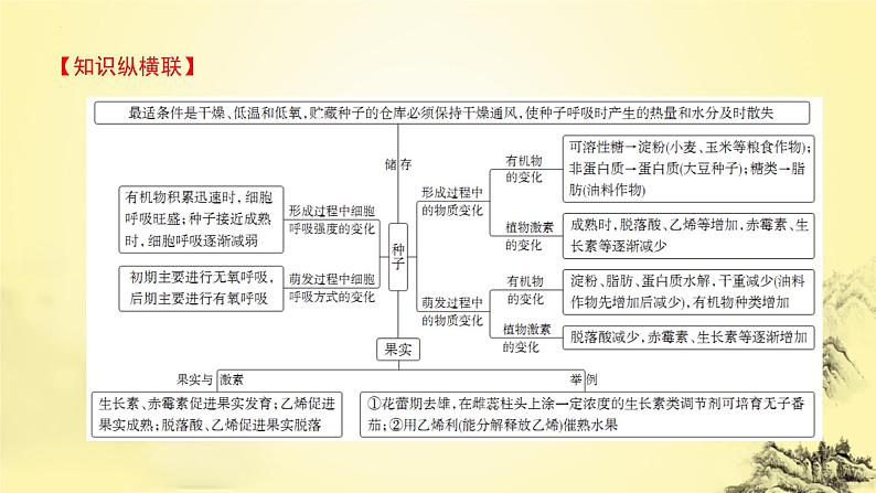 2023届高三二轮复习生物：生命观念之微专题课件PPT第2页