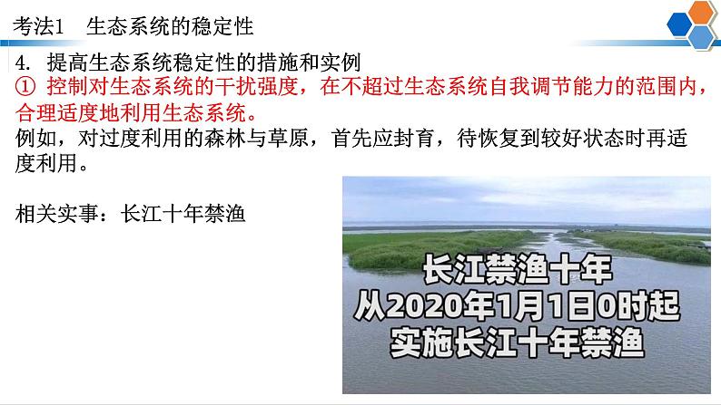 2023届高三生物二轮复习课件： 生态平衡和常见环境问题治理第7页