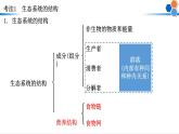 2023届高三生物二轮复习课件：生态系统的功能和热点背景分析