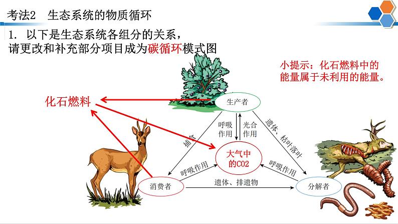 2023届高三生物二轮复习课件：生态系统的功能和热点背景分析第8页