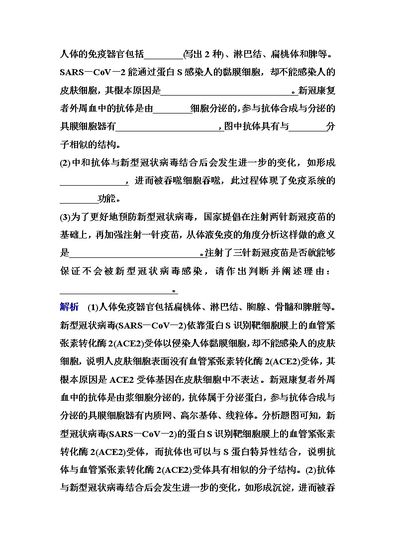 2023届高考生物二轮复习大题集训(四)调节类突破作业含答案第3页