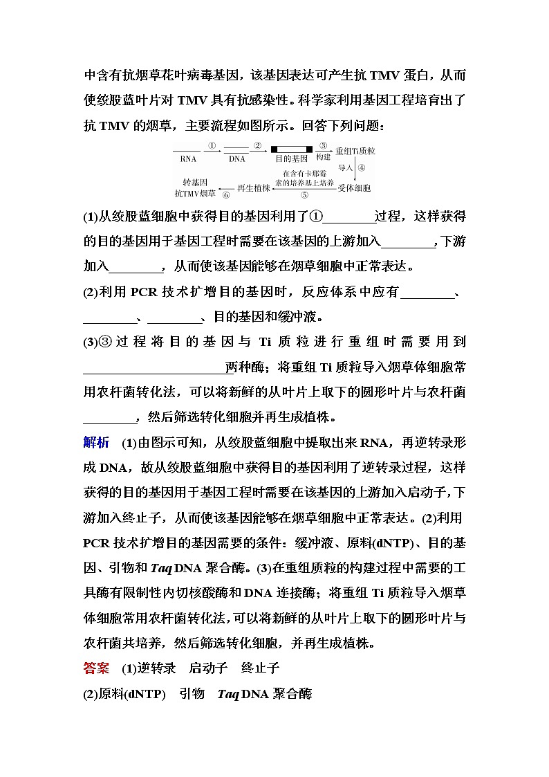 2023届高考生物二轮复习大题集训(六)基因工程类突破作业含答案第3页