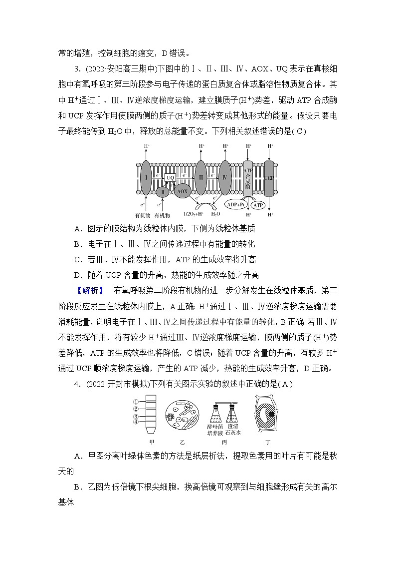 2023届高考生物二轮复习选择专题练4含答案第2页