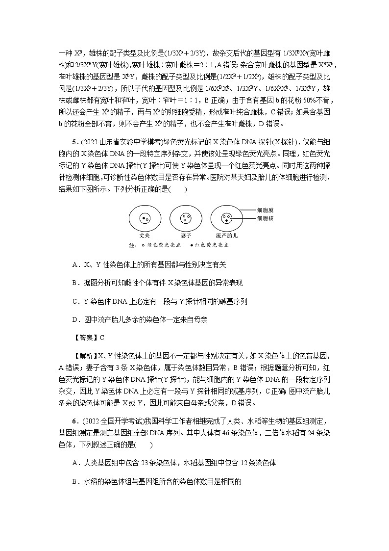 2023届高考生物二轮复习伴性遗传和人类遗传病作业含答案03