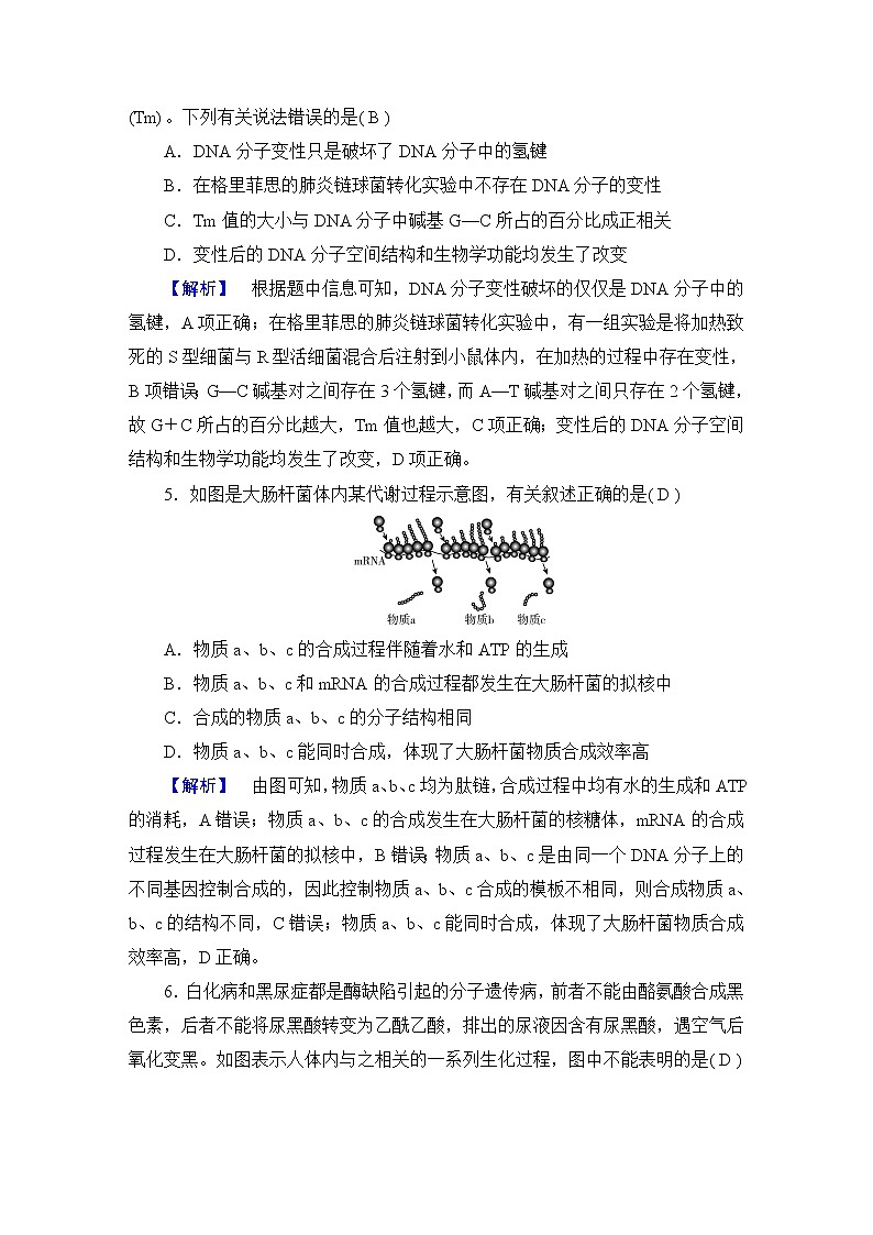 2023届高考生物二轮复习基因的本质与表达作业含答案03