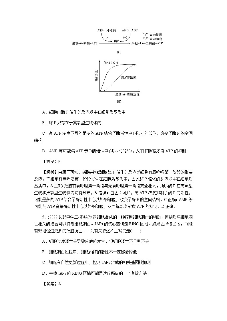 2023届高考生物二轮复习酶和ATP 作业含答案第3页
