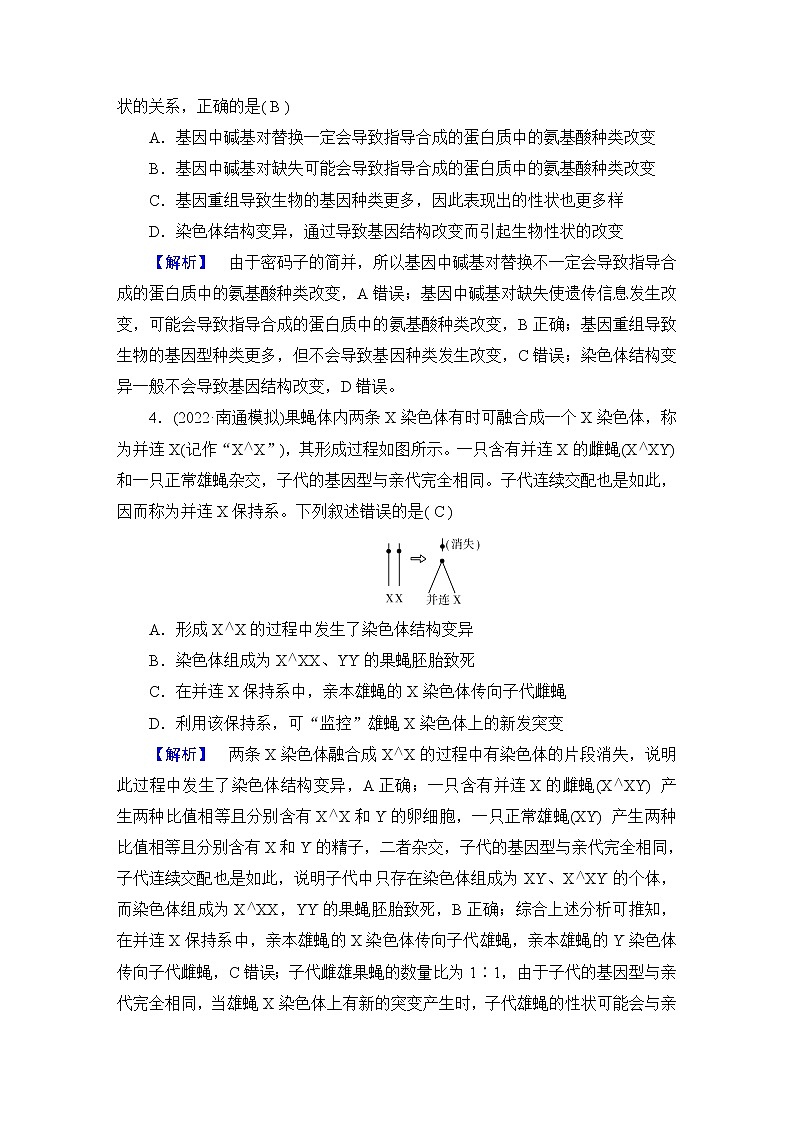 2023届高考生物二轮复习生物的变异与进化作业含答案第2页