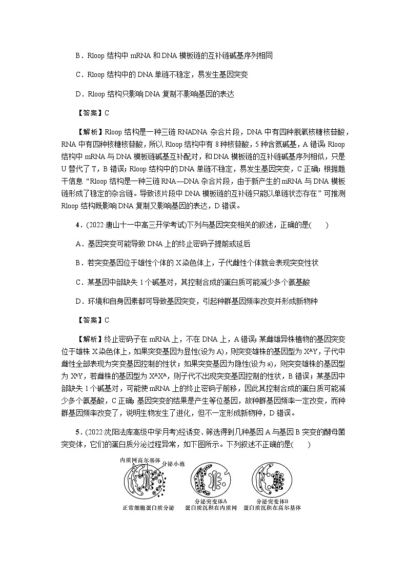 2023届高考生物二轮复习生物的变异与进化作业含答案第2页