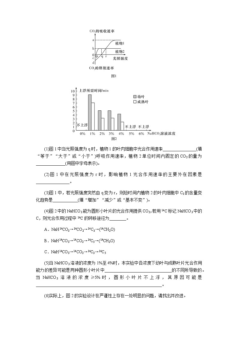 2023届高考生物二轮复习实验设计题的解题策略作业含答案03