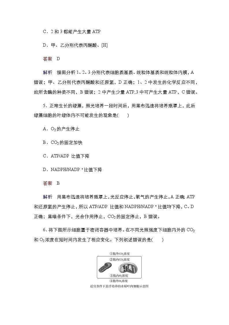 2023届高考生物二轮复习细胞代谢作业含答案第3页