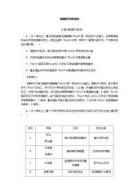 2023届高考生物二轮复习细胞的结构组成作业含答案