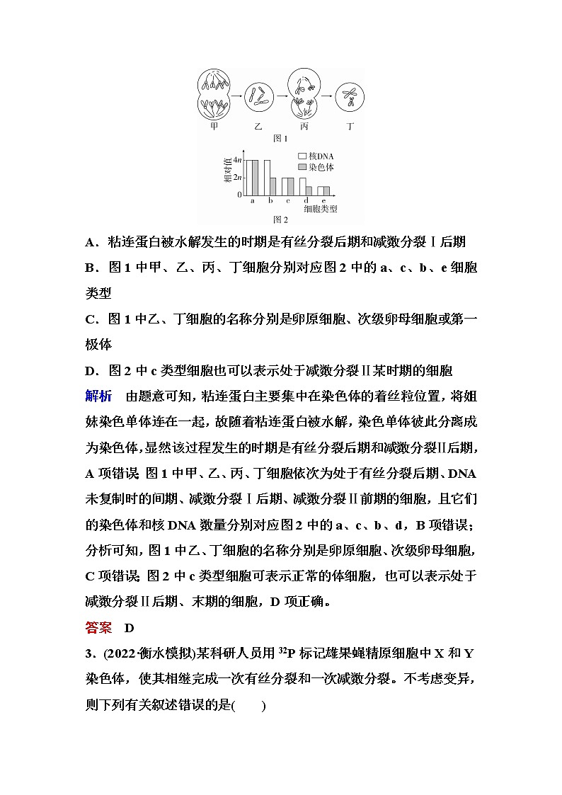 2023届高考生物二轮复习细胞的生命历程作业含答案第2页