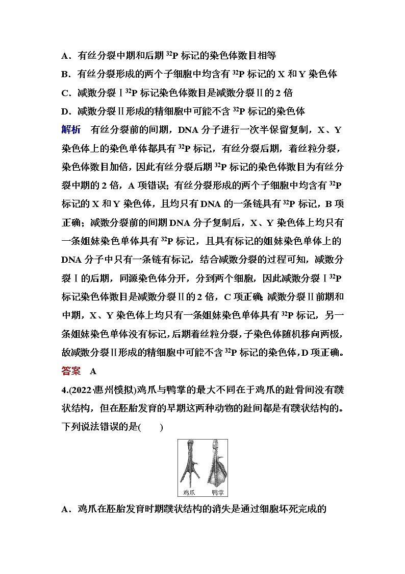2023届高考生物二轮复习细胞的生命历程作业含答案第3页