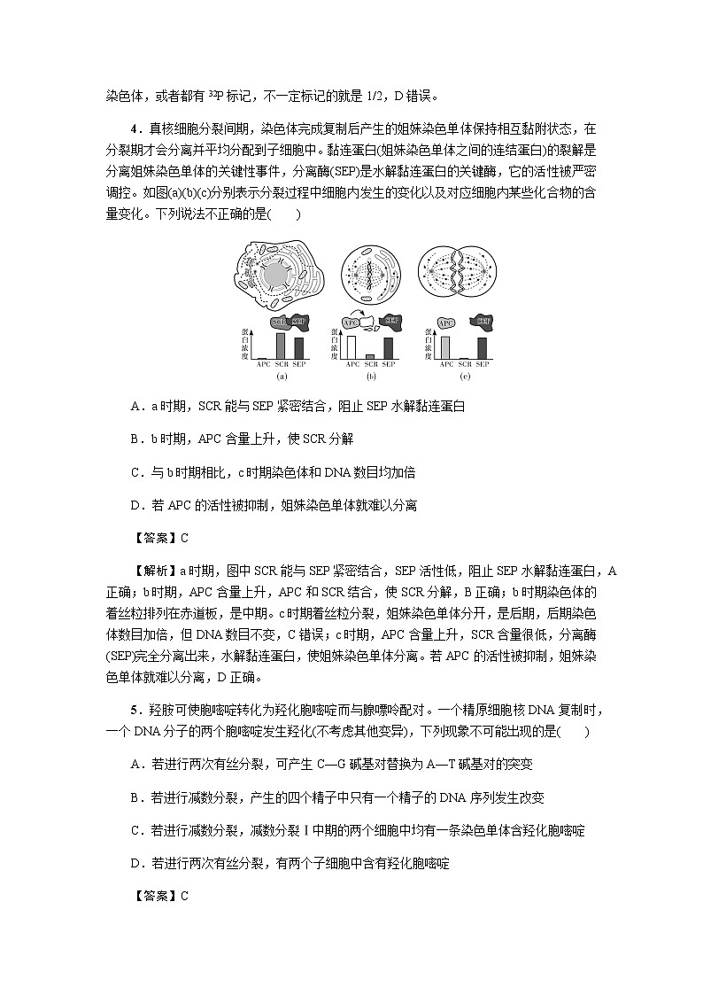 2023届高考生物二轮复习细胞的有丝分裂与减数分裂作业含答案03