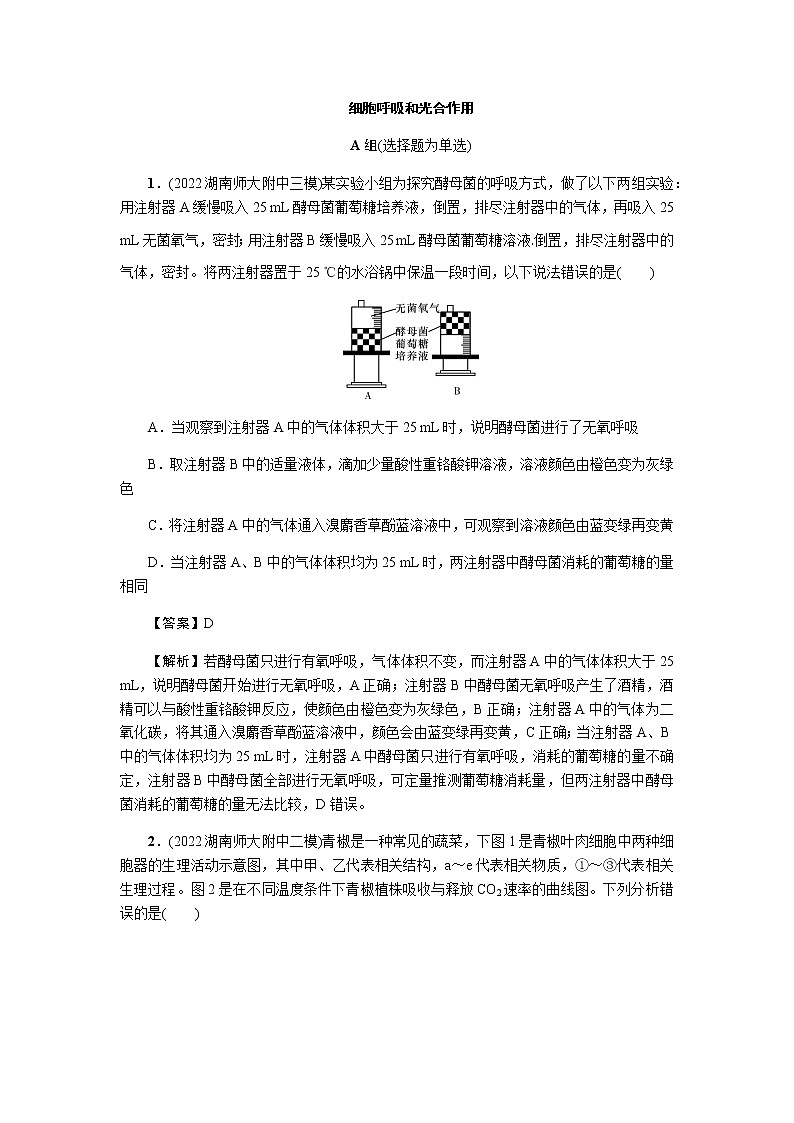2023届高考生物二轮复习细胞呼吸和光合作用 作业含答案第1页