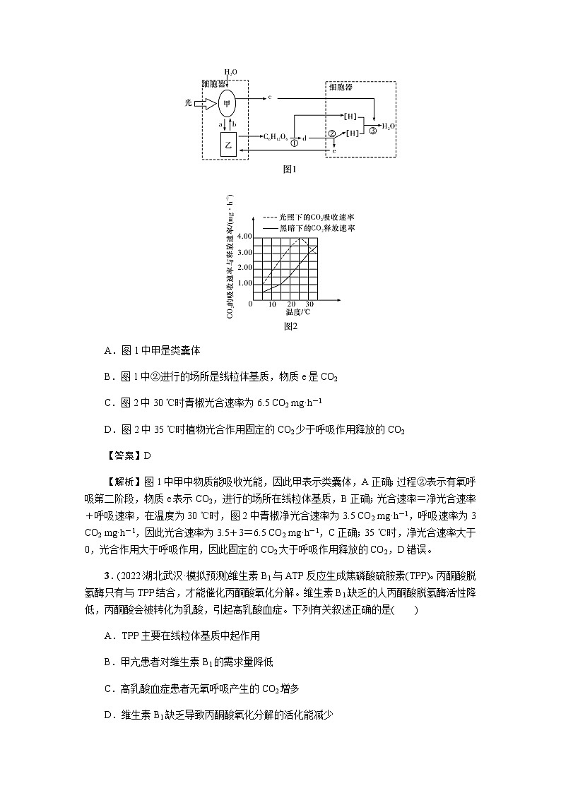 2023届高考生物二轮复习细胞呼吸和光合作用 作业含答案第2页