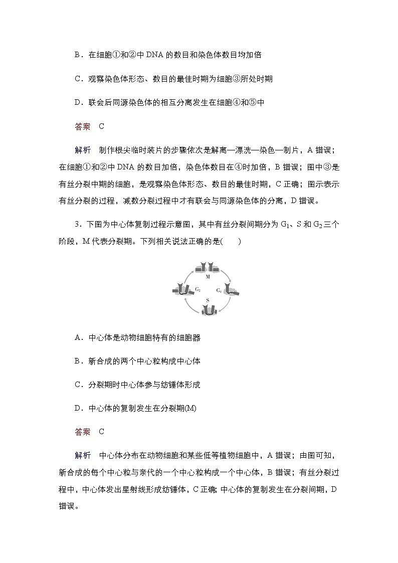 2023届高考生物二轮复习细胞生命历程作业含答案第2页
