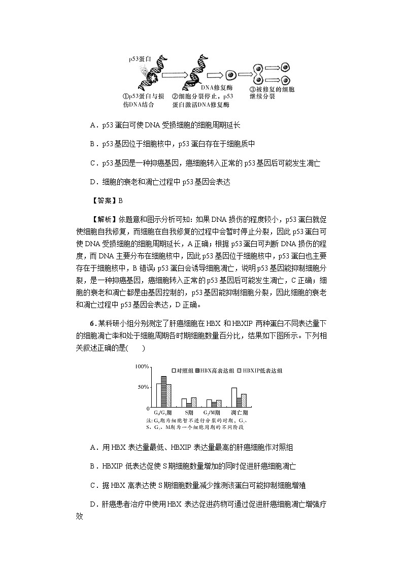 2023届高考生物二轮复习细胞衰老、凋亡与癌变作业含答案第3页