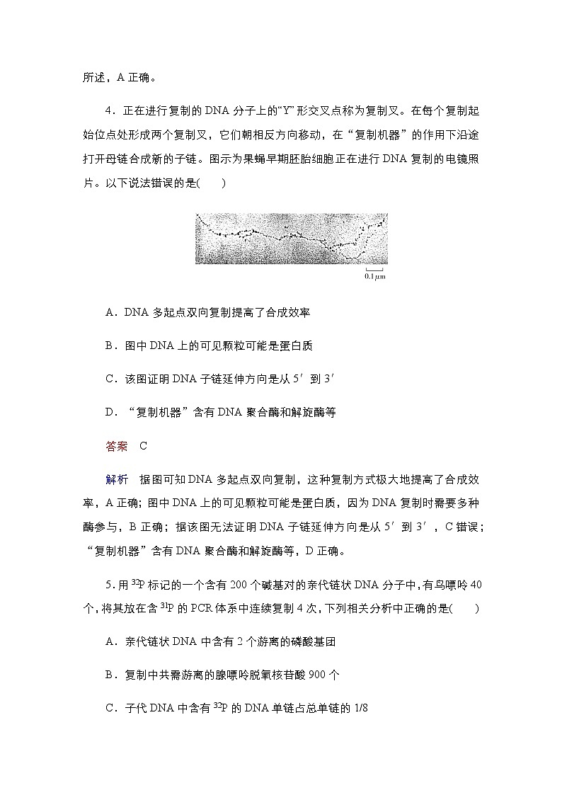 2023届高考生物二轮复习遗传分子基础作业含答案第3页