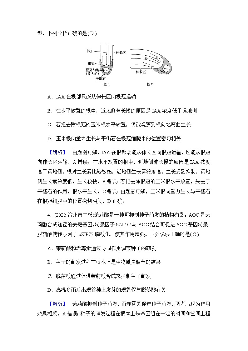 2023届高考生物二轮复习植物激素调节 作业含答案第3页
