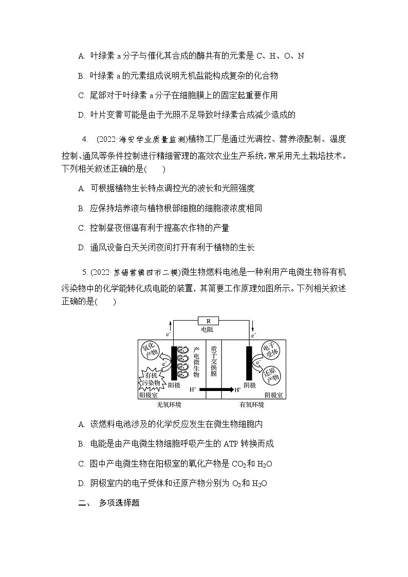 2023届高考生物二轮复习专题光合作用和细胞呼吸作业含答案第2页