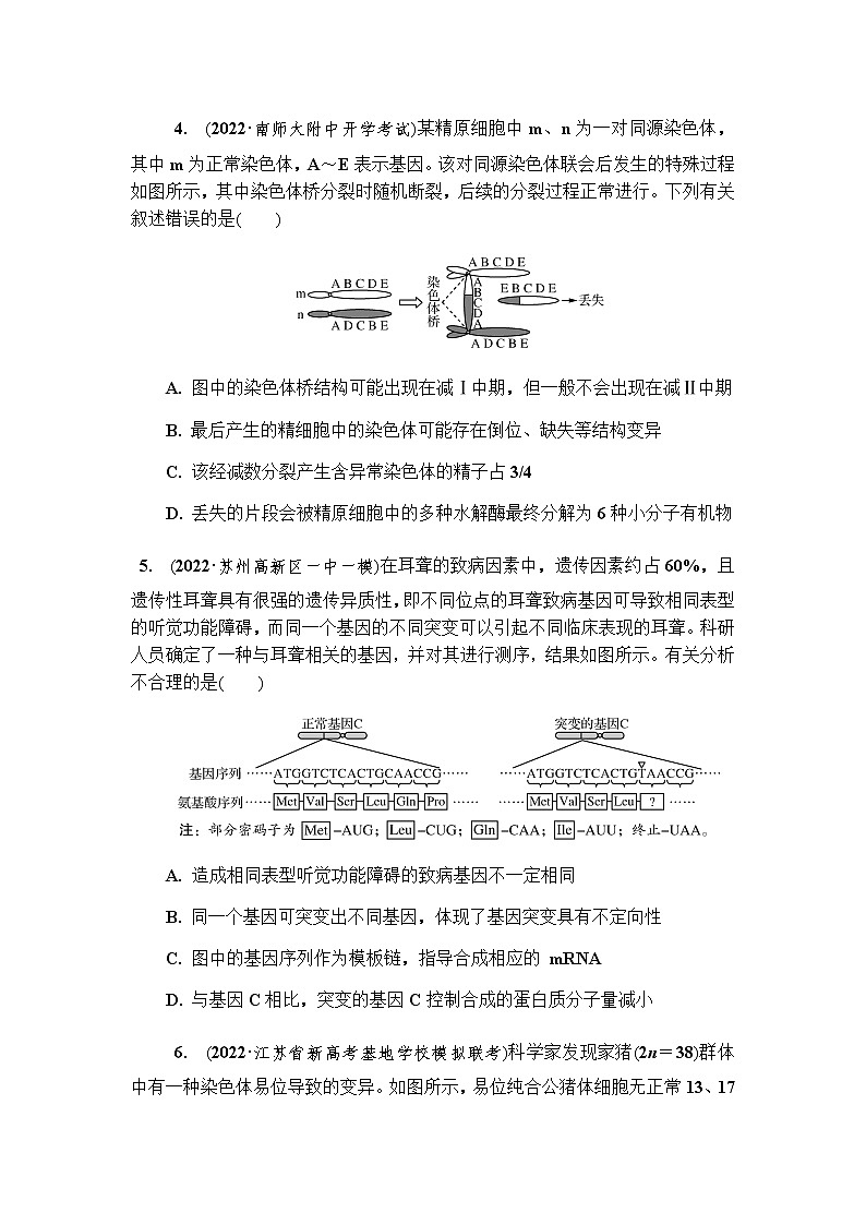 2023届高考生物二轮复习专题生物的变异、育种与进化作业含答案02