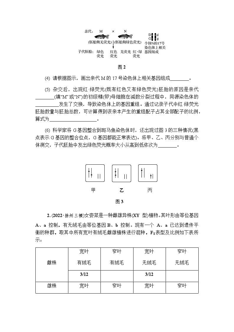 2023届高考生物二轮复习专题遗传的两大定律及伴性遗传(二)作业含答案第2页