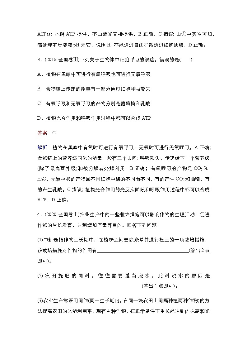 2023届高考生物二轮复习细胞代谢学案03