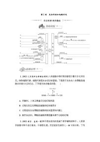 2023届高考生物二轮复习光合作用和细胞呼吸学案