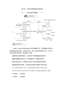 2023届高考生物二轮复习人体内环境的稳态及免疫调节学案