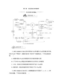 2023届高考生物二轮复习生态系统与环境保护学案