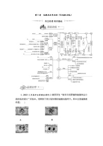 2023届高考生物二轮复习细胞的生命历程(含减数分裂)学案