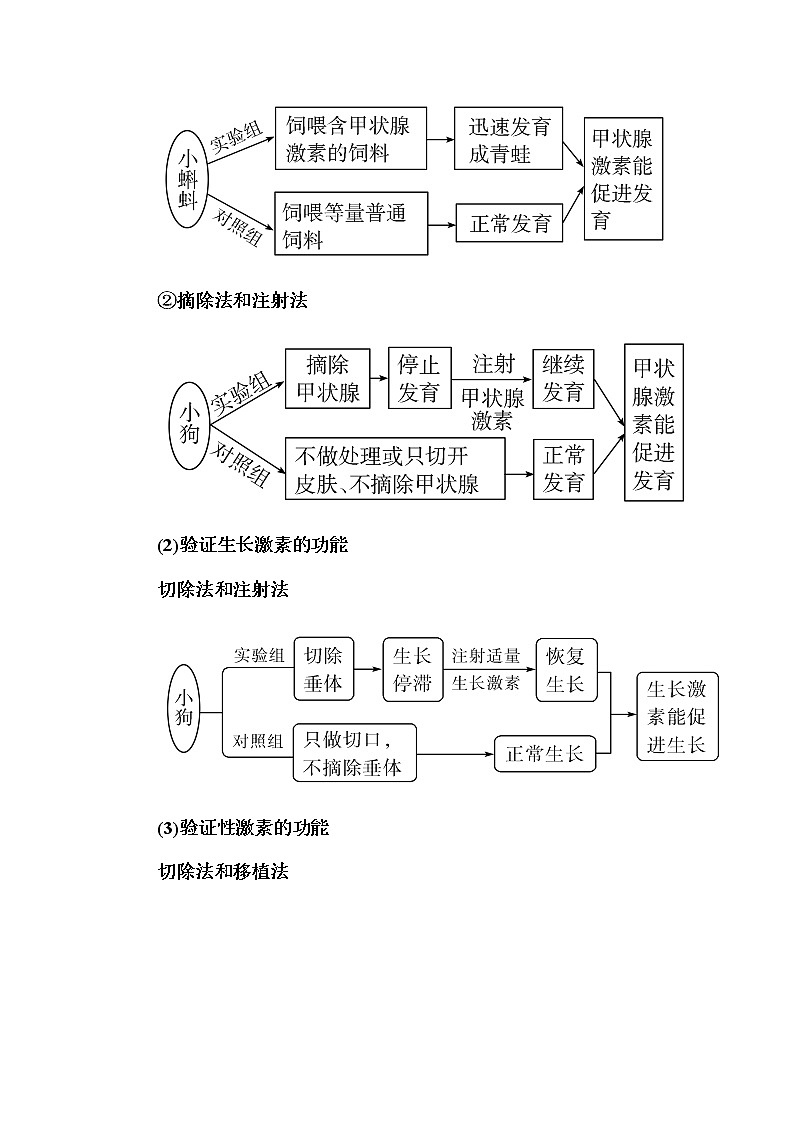 2023届高考生物二轮复习实验探究三动物激素功能的实验探究学案第2页