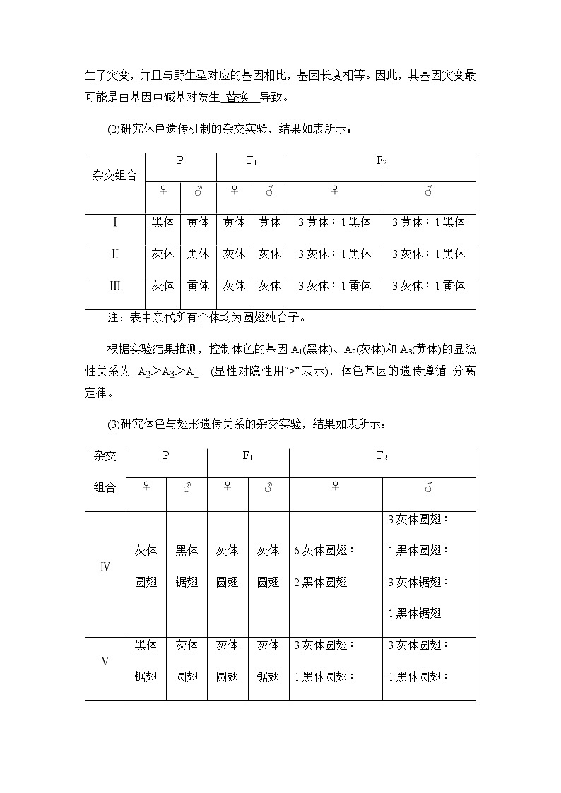 2023届高考生物二轮复习伴性遗传与人类遗传病学案含答案03