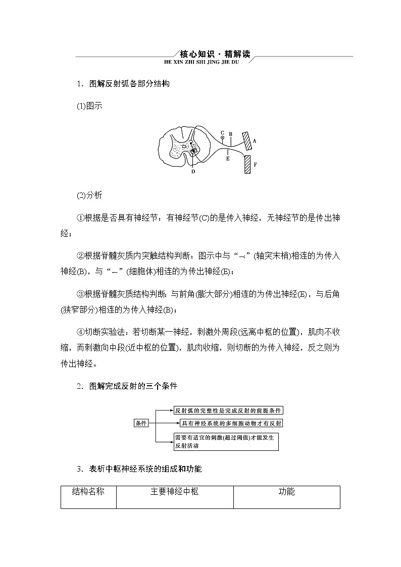 2023届高考生物二轮复习神经调节和体液调节学案含答案03