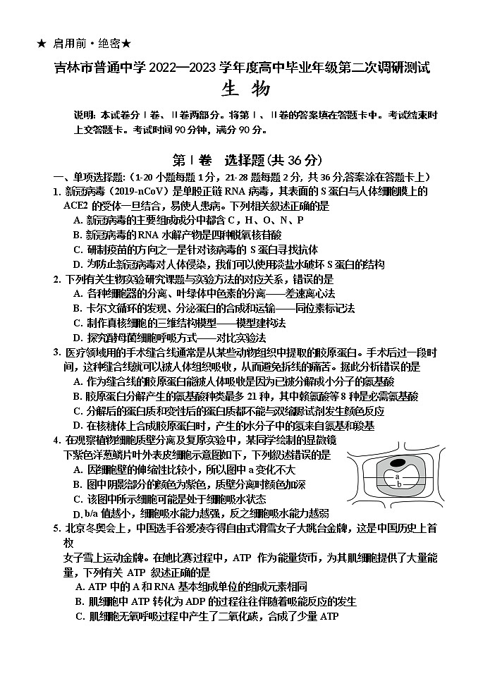 吉林省吉林市2022-2023学年高三生物下学期2月第二次调研试卷（Word版附答案）第1页