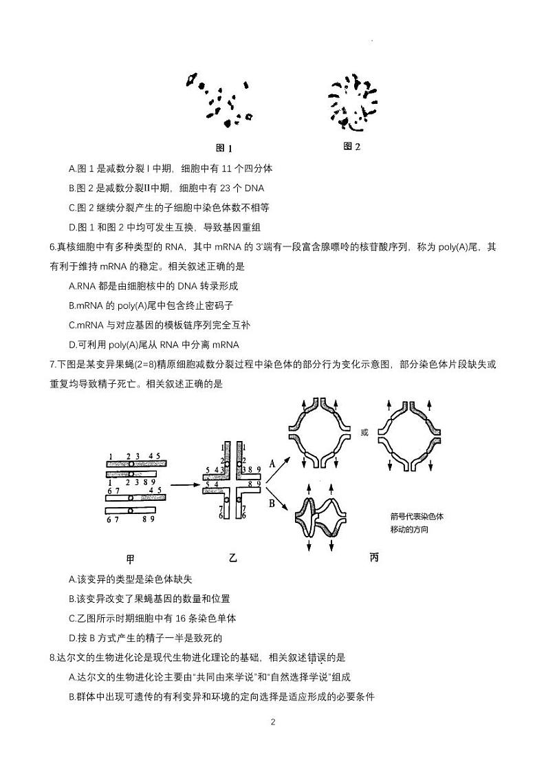 2023届江苏省南通市高三第一次调研测试（一模）生物试题02