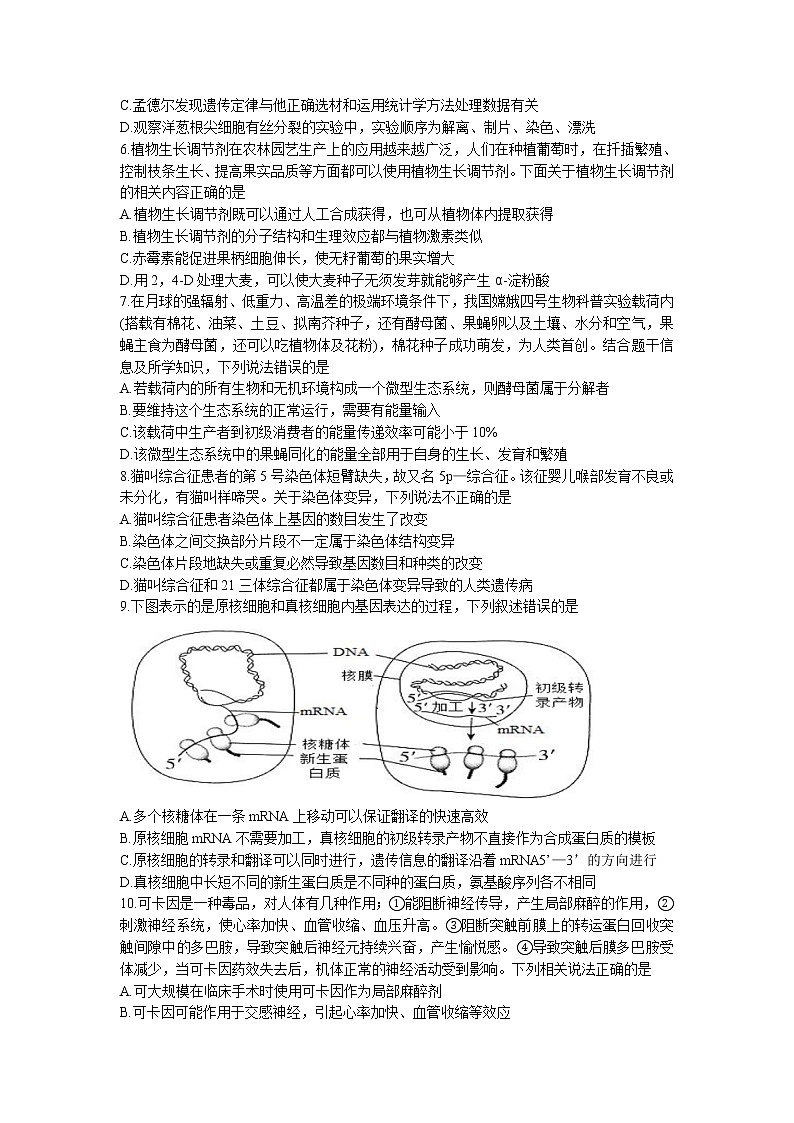 辽宁省丹东市2022-2023学年高三上学期期末教学质量监测生物试题第2页
