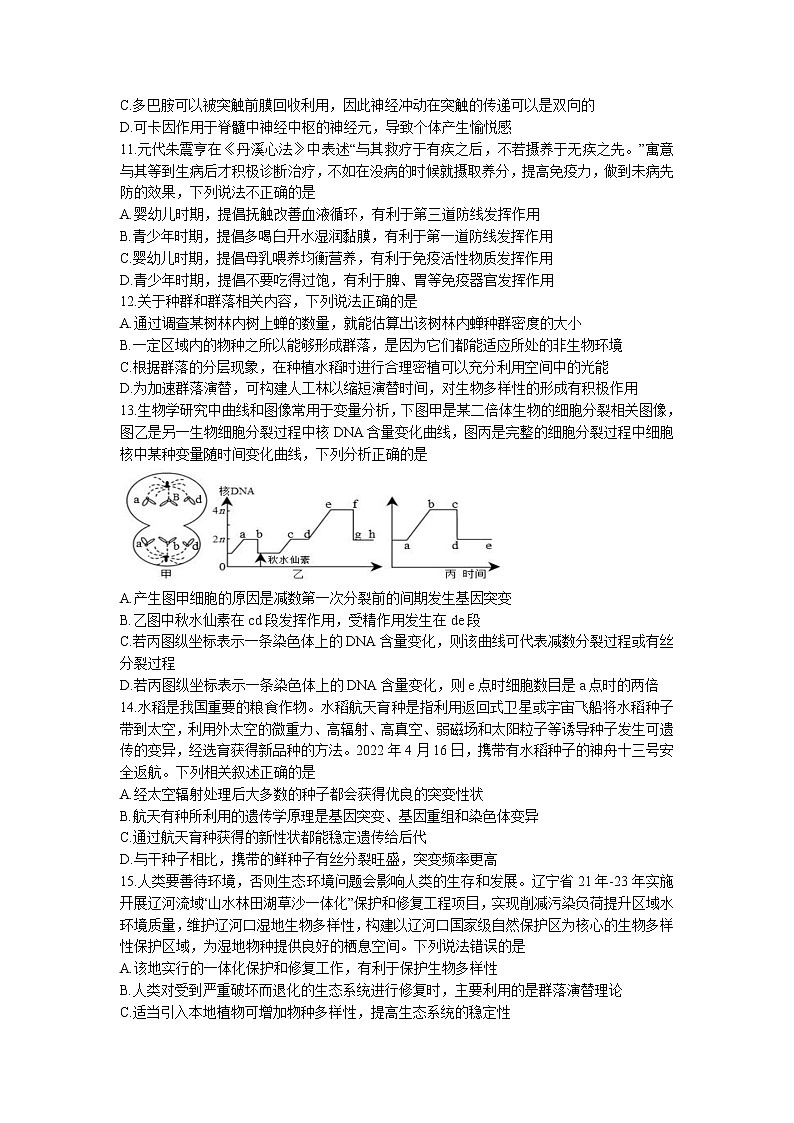 辽宁省丹东市2022-2023学年高三上学期期末教学质量监测生物试题第3页