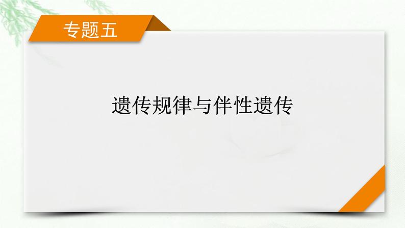 2023届高考生物二轮复习伴性遗传与人类遗传病课件01