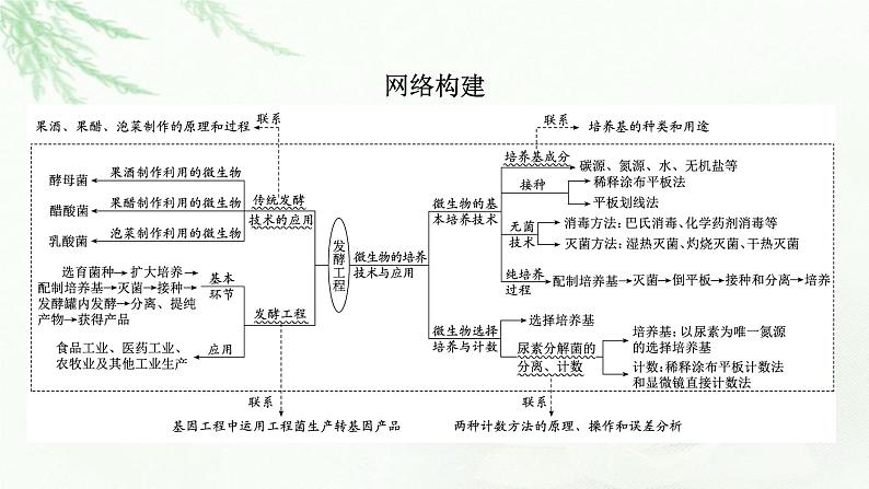 2023届高考生物二轮复习发酵工程课件第6页