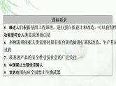 2023届高考生物二轮复习基因工程与生物技术的安全性和伦理问题课件