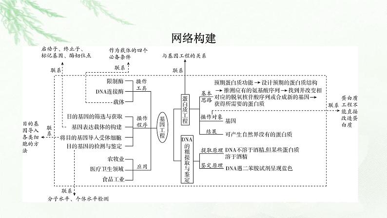 2023届高考生物二轮复习基因工程与生物技术的安全性和伦理问题课件第7页