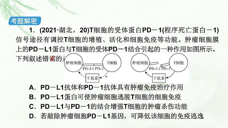 2023届高考生物二轮复习免疫调节课件第7页