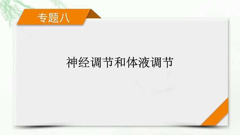 2023届高考生物二轮复习神经调节和体液调节课件第1页