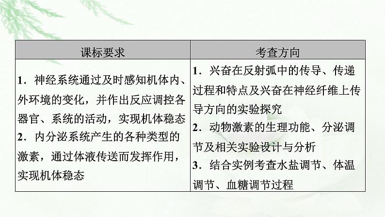 2023届高考生物二轮复习神经调节和体液调节课件第4页